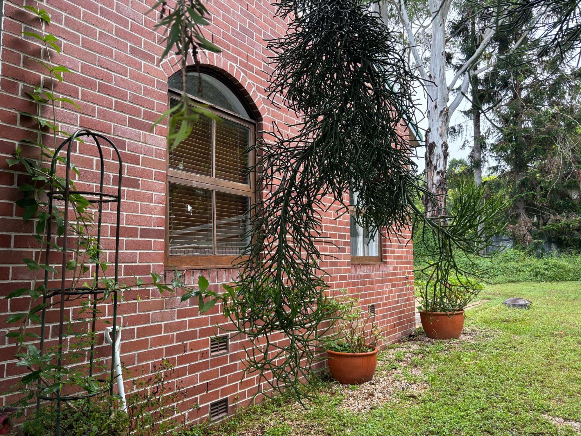 Celestial Dew Guesthouse In Tyalgum 외부 사진
