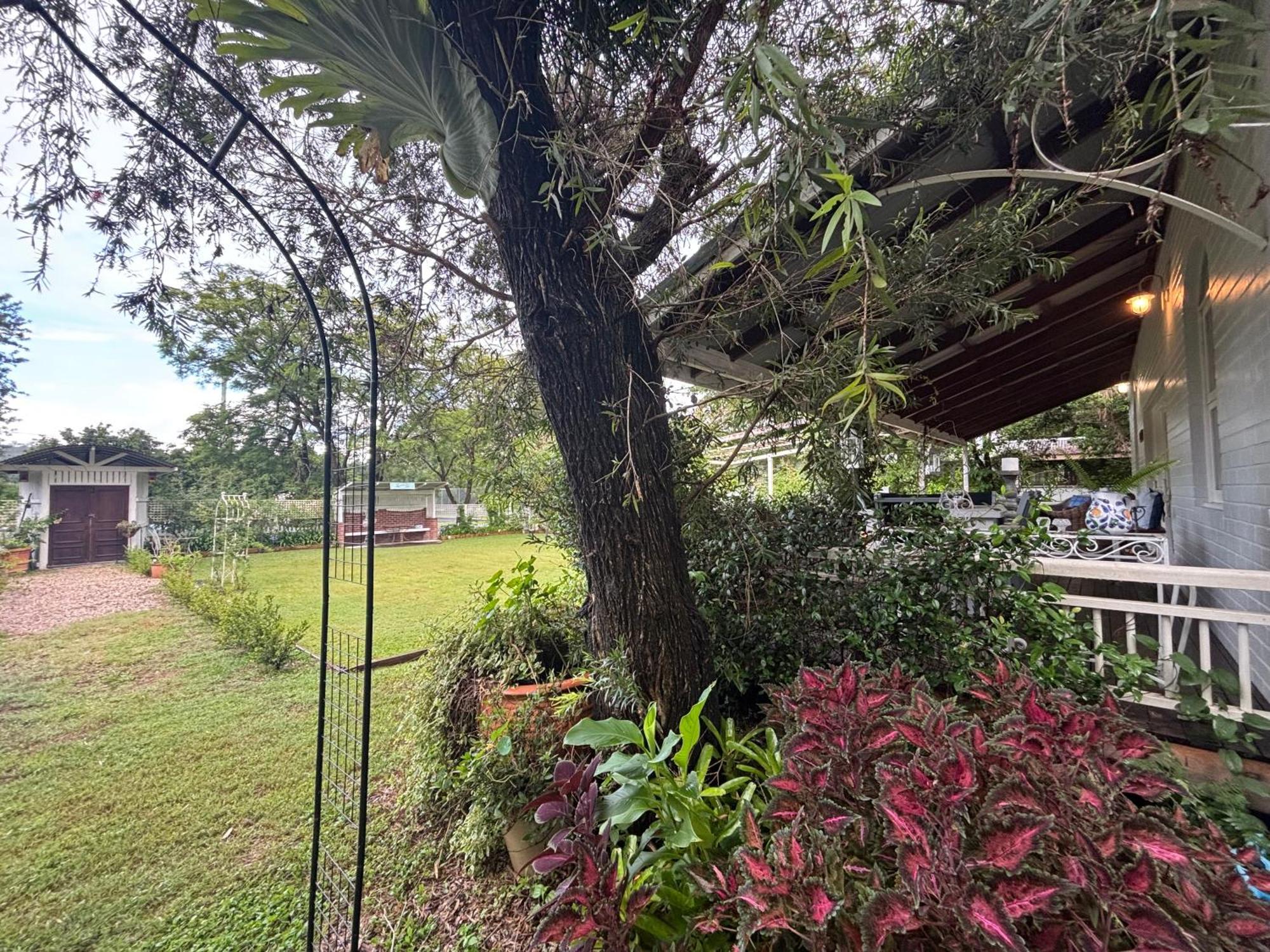 Celestial Dew Guesthouse In Tyalgum 외부 사진