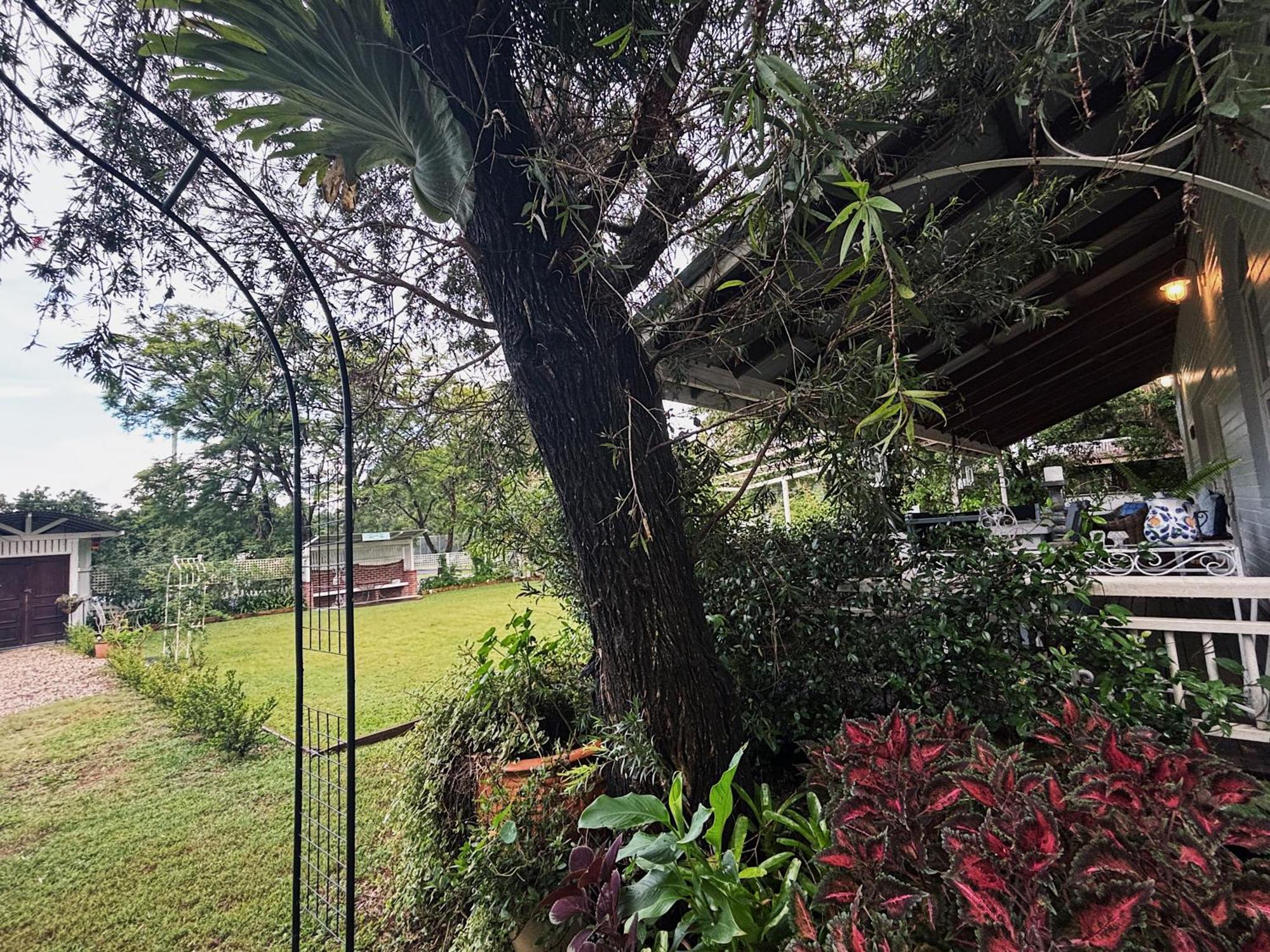 Celestial Dew Guesthouse In Tyalgum 외부 사진