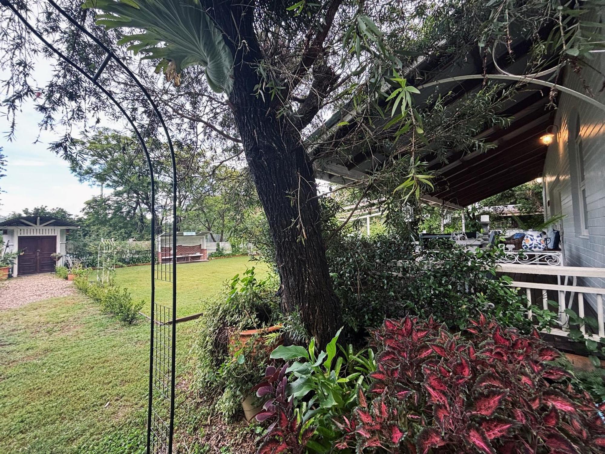 Celestial Dew Guesthouse In Tyalgum 외부 사진